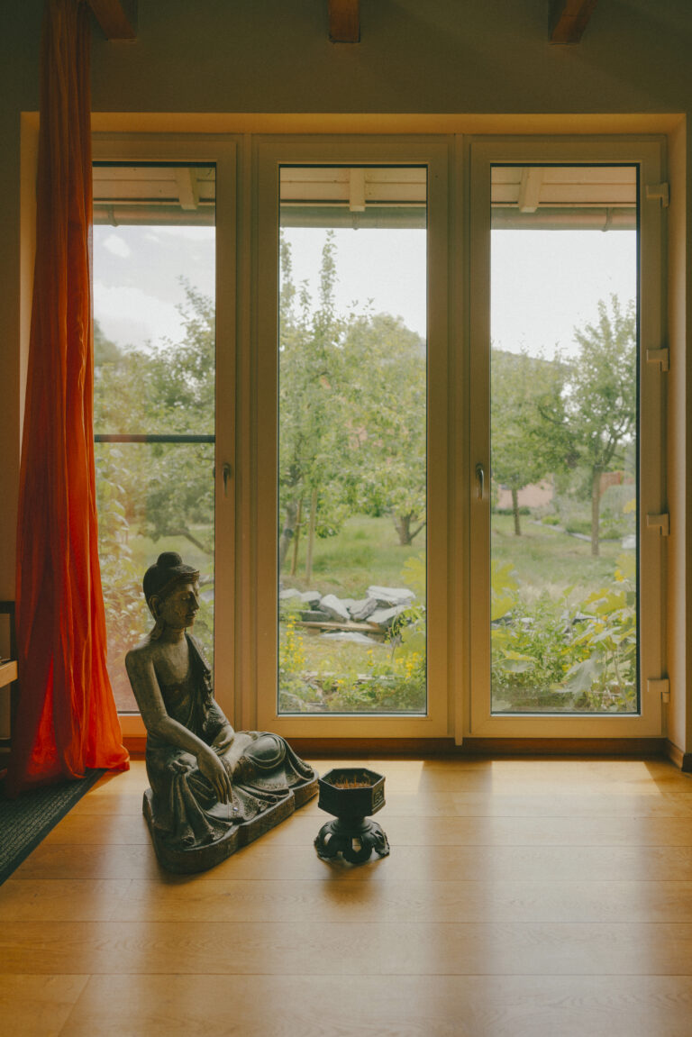 Buddha im Yoga Haus am Rialtoring 74